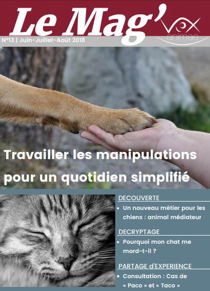 E-mag 13 Vox Animae: Travaillez les manipulations pour un quotidien simplifié